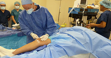 Quisque venenatis mi at