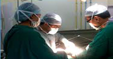 Quisque venenatis mi at