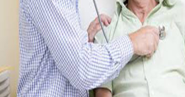 Quisque venenatis mi at