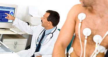 Quisque venenatis mi at