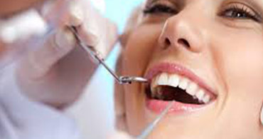 Quisque venenatis mi at