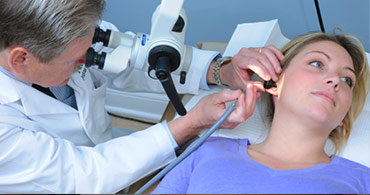 Quisque venenatis mi at