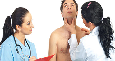 Quisque venenatis mi at