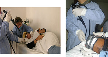 Quisque venenatis mi at