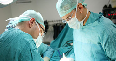 Quisque venenatis mi at