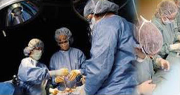 Quisque venenatis mi at