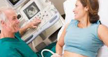 Quisque venenatis mi at