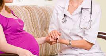 Quisque venenatis mi at