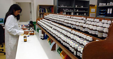 Quisque venenatis mi at