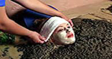 Quisque venenatis mi at