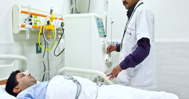 Quisque venenatis mi at