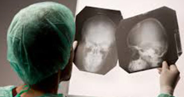 Quisque venenatis mi at