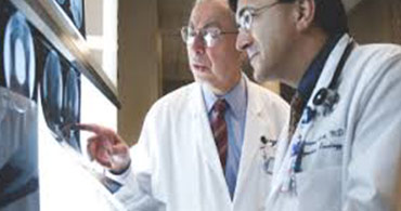 Quisque venenatis mi at