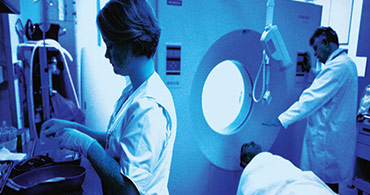 Quisque venenatis mi at