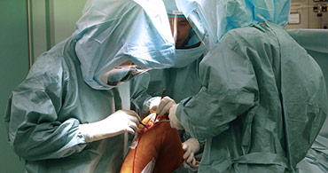 Quisque venenatis mi at