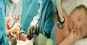 Quisque venenatis mi at