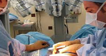 Quisque venenatis mi at