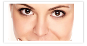 Nullam euismod commodo