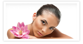 Nullam euismod commodo