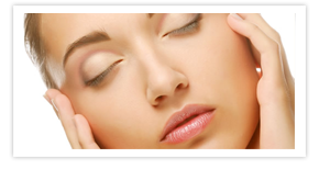 Nullam euismod commodo