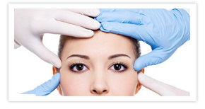 Nullam euismod commodo