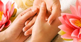 Nullam euismod commodo