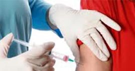 Nullam euismod commodo