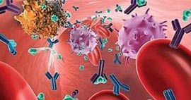 Nullam euismod commodo