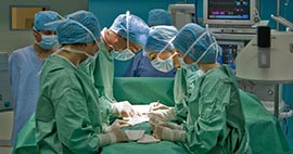 Nullam euismod commodo