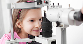 Nullam euismod commodo