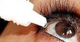 Nullam euismod commodo