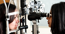 Nullam euismod commodo