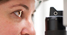 Nullam euismod commodo