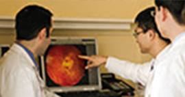 Nullam euismod commodo