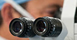 Nullam euismod commodo