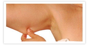 Nullam euismod commodo