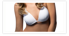 Nullam euismod commodo