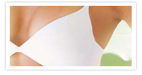 Nullam euismod commodo