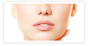 Nullam euismod commodo