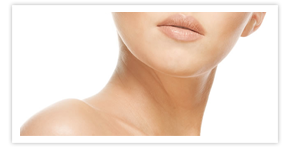 Nullam euismod commodo