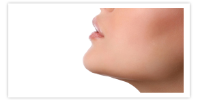 Nullam euismod commodo