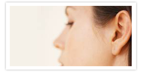 Nullam euismod commodo