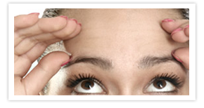 Nullam euismod commodo