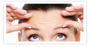 Nullam euismod commodo