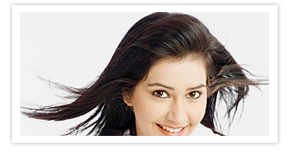 Nullam euismod commodo