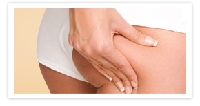 Nullam euismod commodo