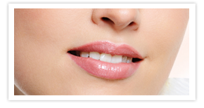 Nullam euismod commodo