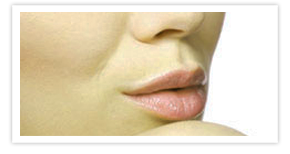 Nullam euismod commodo