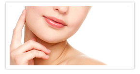 Nullam euismod commodo