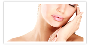 Nullam euismod commodo